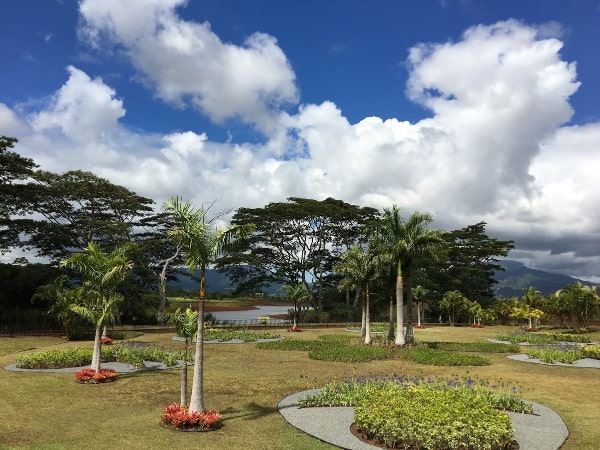 Beautiful photo of Aloha Beach Camp's outdoor garden and play area for campers in Oahu, Hawaii.