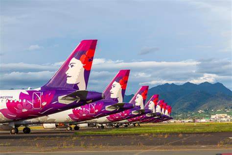 Long line of Hawaiian Airlines airplanes parked at the airport in Hawaii 